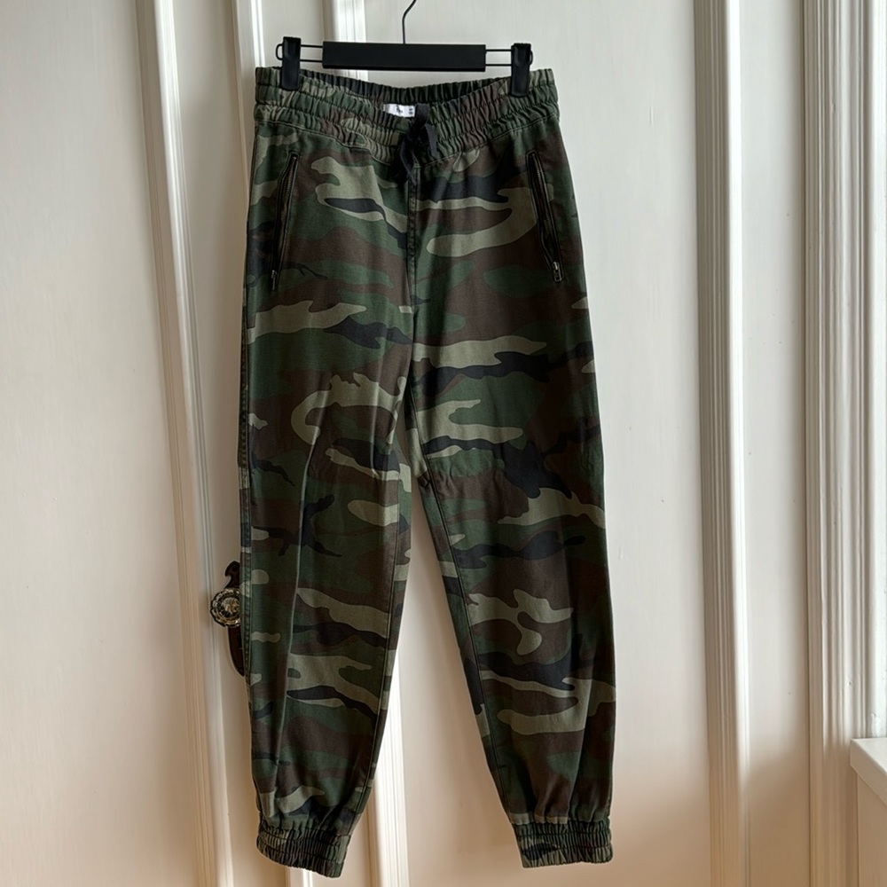 Aritzia cargo joggers